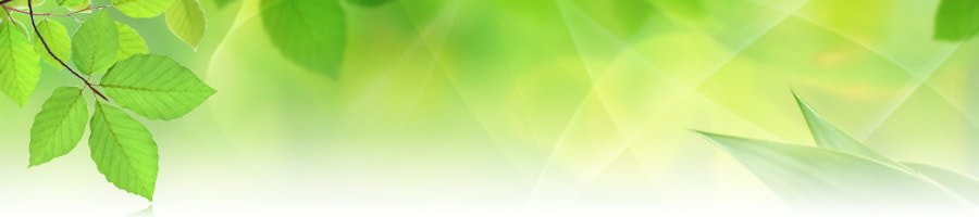 �����̔䖾����������鐬�����ĂԎ��Ƃ̍\�z�ƃ}�[�P�e�B���O�헪